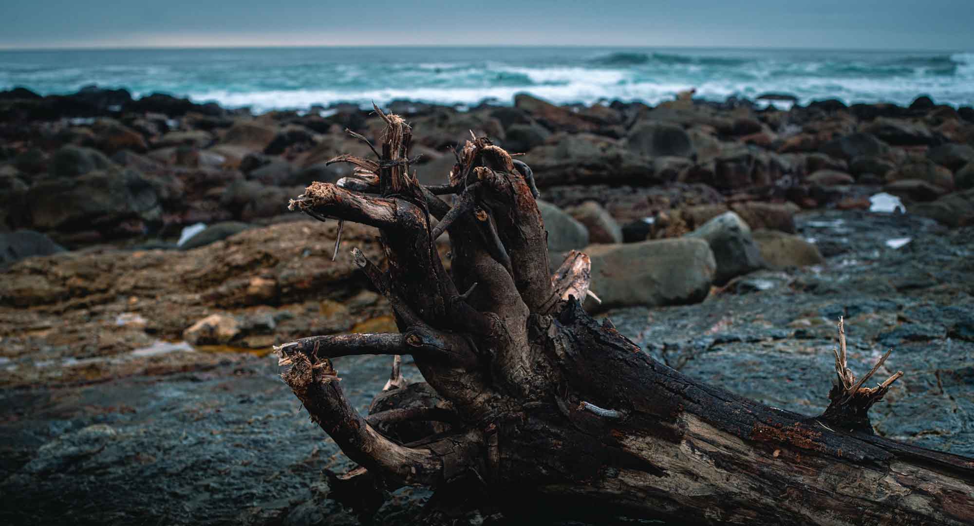 Beyond-The-Lens